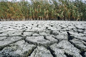 Λειψυδρία: Οι Βρυξέλλες ζητούν από τις χώρες της ΕΕ να χρησιμοποιούν λιγότερο νερό