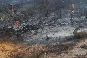 Σε ύφεση η φωτιά στο Καραβοστάσι Λακωνίας