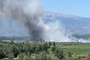 Φωτιά σε δάσος στο Λευκόχωμα Λακωνίας: Μήνυμα από το 112 στους κατοίκους