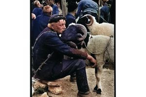 Βοσκός στην αγορά το 1967