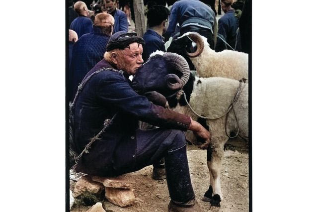 Βοσκός στην αγορά το 1967