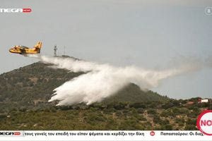 Μεγάλη φωτιά στο Άνω Σούλι Μαραθώνα – Μήνυμα από το 112 για εκκένωση προς Γραμματικό και Νέα Μάκρη