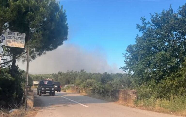 Φωτιά στην περιοχή Αχλάδι Στυλίδας – Μήνυμα 112 στους κατοίκους να είναι σε ετοιμότητα