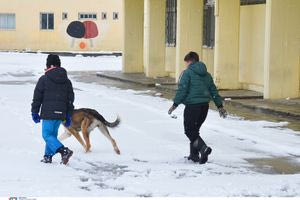 Άλλαξε και το χειμώνα στην Ελλάδα η κλιματική αλλαγή