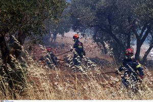 Μαίνονται οι φωτιές στη Χίο –  Εκκένωση 19 οικισμών