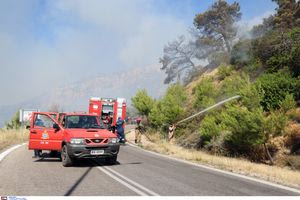 Φωτιά στη Χίο: Μάχη της πυροσβεστικής με διάσπαρτες εστίες