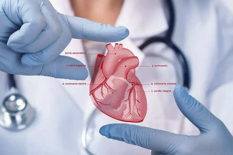 Καρδιολόγοι από την Ελλάδα και τον κόσμο συναντώνται στην Κρήτη