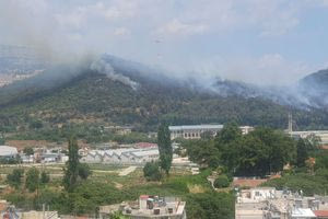 Υπό πλήρη έλεγχο η φωτιά στην Καβάλα