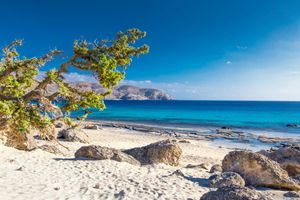 Παραλία Κεδρόδασος: Ένας από τους τελευταίους ανέγγιχτους παράδεισους – Βίντεο