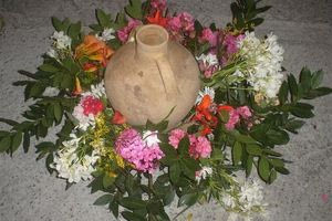 Ανοίξετε τον Κλήδονα: Το “ριζικό” μας σε μια στάμνα με νερό