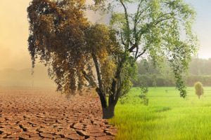 Υπερθέρμανση: Τον κώδωνα του κινδύνου κρούουν περισσότεροι από 60 κορυφαίοι επιστήμονες