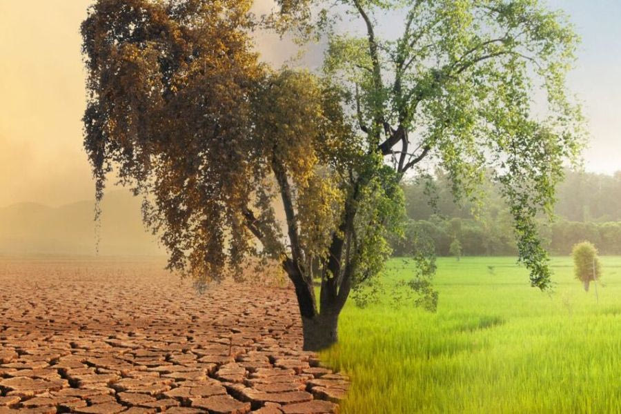 Υπερθέρμανση: Τον κώδωνα του κινδύνου κρούουν περισσότεροι από 60 κορυφαίοι επιστήμονες