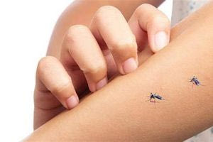 Γιατί τα κουνούπια τσιμπούν εμάς και όχι τους άλλους; – Οι επτά αιτίες