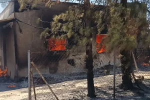 Φωτιά τώρα στην Παλαιά Φώκαια – Μήνυμα του 112 για εκκενώσεις σε Θυμάρι, Καταφύγι και Χάρακα