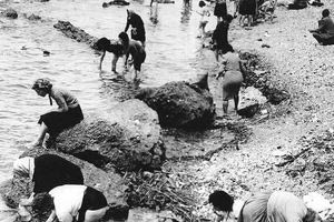 Της Μαλλιαρής…!