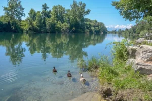 Άρτα: Δύο ανήλικα παιδιά ανασύρθηκαν χωρίς αισθήσεις από τον ποταμό Άραχθο
