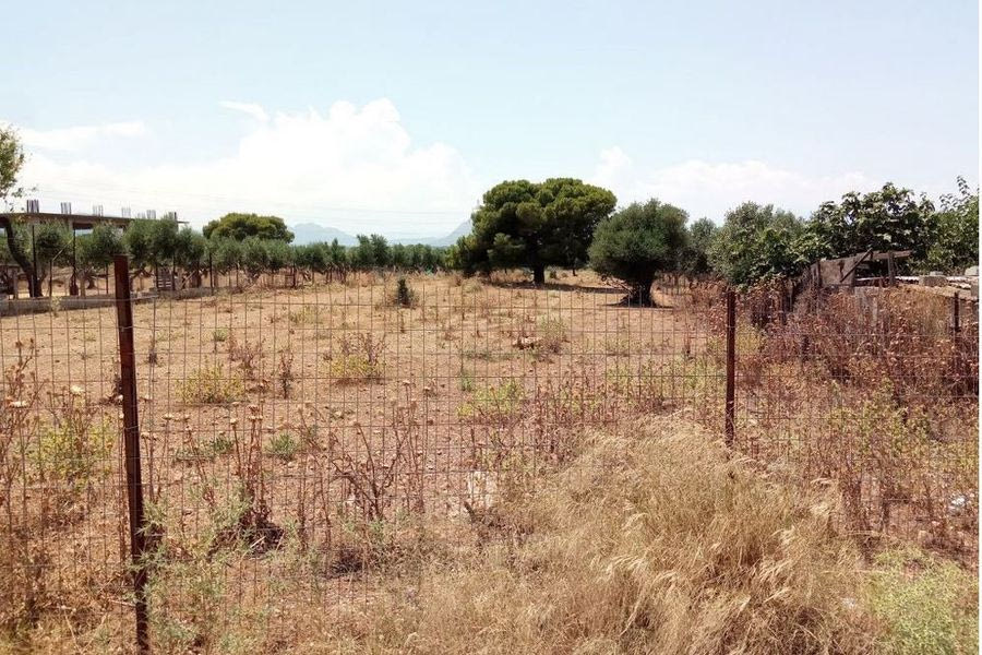 Γ. Κεφαλογιάννης: Τέλος στις παρατάσεις για τον καθαρισμό οικοπέδων – Συστηματικοί έλεγχοι από 16 Ιουνίου