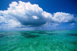 ΟΗΕ: H Διάσκεψη για τους Ωκεανούς θα καταλήξει σε σχέδιο δράσης για την προστασία τους