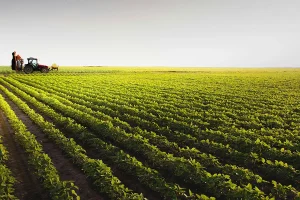 Το πραγματικό σκάνδαλο του ΟΠΕΚΕΠΕ δεν είναι (μόνο) τα βοσκοτόπια