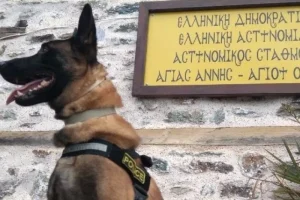 Βγαίνει στη σύνταξη ο Όσκαρ ο πιο διάσημος σκύλος περιπολίας της ΕΛ.ΑΣ.