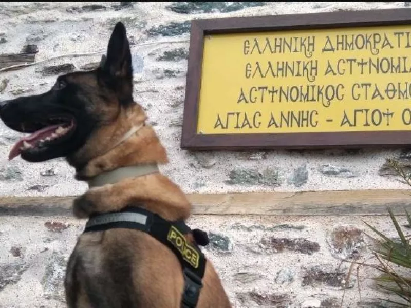 Βγαίνει στη σύνταξη ο Όσκαρ ο πιο διάσημος σκύλος περιπολίας της ΕΛ.ΑΣ.