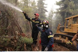 «Άστεγοι» οι εποχικοί πυροσβέστες στα νησιά λόγω απλησίαστων ενοικίων