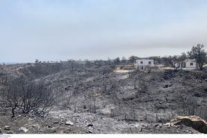 Δάση όσο μια «Μήλος» έχασαν τα νησιά του Αιγαίου