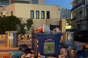 Απίστευτες εικόνες: Δείτε τι πέταξαν στα σκουπίδια έξω από σχολείο του Ηρακλείου!