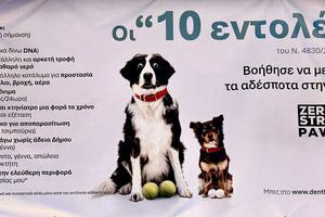 Τριήμερη δράση δωρεάν στειρώσεων από το Δήμο Μαλεβιζίου σε συνεργασία με την οργάνωση Zero Stray Pawject