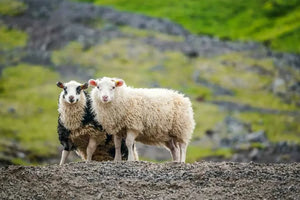 Νουθεσίες, συμβουλές, λάθη και… ωκεανοί!