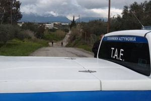 Κυκλοφορούσε με τις σφαίρες και τις κατσούνες στο αγροτικό – Χειροπέδες σε 35χρονο