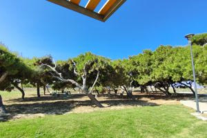 «Τείχη: Εμπόδια ή Γέφυρες;»: Η συμμετοχή της Ένωσης Φιλολόγων Ν. Ηρακλείου στο Φεστιβάλ των Τειχών