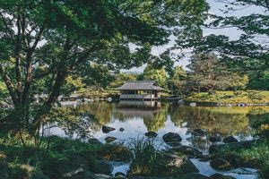 Οι πέντε πόλεις με τους περισσότερους χώρους πρασίνου στον κόσμο