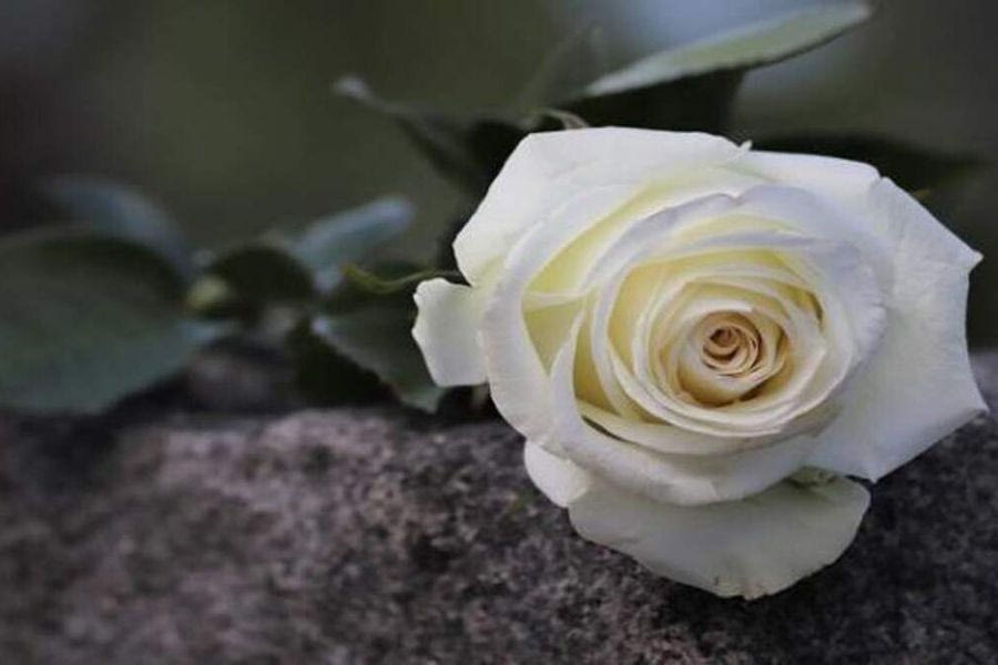 Θλίψη για τον γιατρό Μανόλη Φουντουλάκη που έφυγε στα 60 του χρόνια