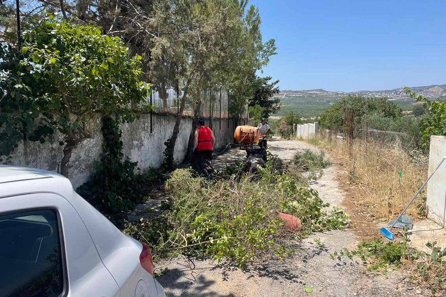 Πυρετώδεις προετοιμασίες για τη γιορτή αγνόπιτας στα Ρουσσοχώρια