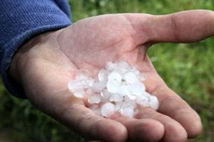 Έβρος: Έντονη χαλαζόπτωση προκάλεσε ολική καταστροφή σε καλλιέργειες στην Ορεστιάδα