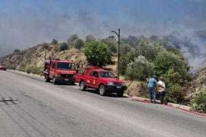 Φωτιά στη Χίο – Μήνυμα του 112 σε κατοίκους 3 περιοχών για να απομακρυνθούν προς την πόλη