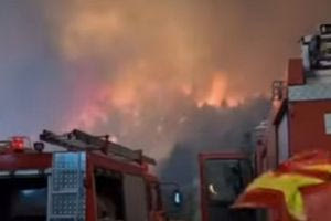 Φωτιά στον Φενεό Κορινθίας: Ζημιές σε σπίτια – Δύο προσαγωγές για εμπρησμό