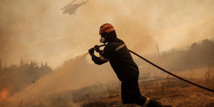 Προσαγωγή για την πυρκαγιά στο Σέλινο: Αμέλεια κατά τις αγροτικές εργασίες