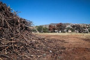 Πυροσβεστική: Ξεκίνησαν οι έλεγχοι σε ακαθάριστα οικόπεδα – 3.748 καταγγελίες πολιτών σε 18 ημέρες