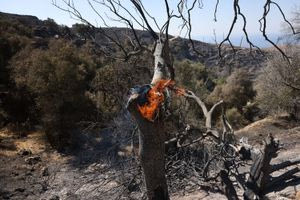 “Έπιασαν” τη φωτιά στα Χανιά –  Διάσπαρτες εστίες σε 20 χιλιόμετρα (φωτογραφίες)