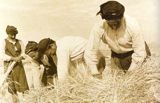 Η Κρήτη στον αγώνα της επιβίωσης – Εικόνες από τα σκληρά Καλοκαίρια σε αμπέλια, σπαρτά και αλώνια