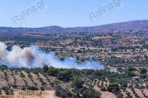 Φωτιά τώρα στη λεωφόρο Μαραθώνος στη Ραφήνα – Επιχειρούν και εναέρια μέσα