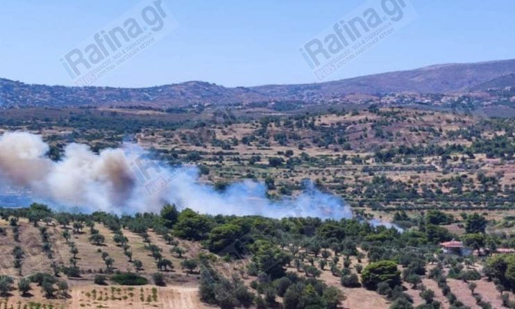 Φωτιά τώρα στη λεωφόρο Μαραθώνος στη Ραφήνα – Επιχειρούν και εναέρια μέσα