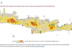 Καταγράφηκε η οικολογική πολυπλοκότητα στις μικροβιακές κοινότητες των εδαφών της Κρήτης