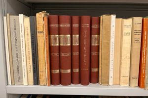 Τα λογοτεχνικά και φιλολογικά βιβλία Μαρίνας Λαμπράκη-Πλάκα και Δημήτρη Πλάκα στη Βικελαία Δημοτική Βιβλιοθήκη