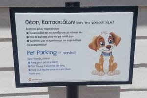 Θέσεις κατοικίδιων στα καταστήματα της ΔΕΠΑΝΑΛ – Πώς φτιάχτηκαν με μηδενικό κόστος!