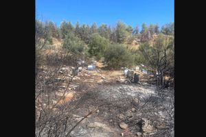 Ζωγράφου: Από χώρο κοντά σε κυψέλες μελισσών ξεκίνησε η φωτιά