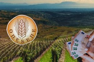 Μια απέραντη… δικογραφία όλη η χώρα, «παγώνουν» τα ευρω-μπικικίνια  για τους αγρότες, κεφάλια για τον ΟΠΕΚΕΠΕ ζητούν στελέχη της κυβέρνησης και για…αλλαγή ατζέντας πιάνουν και μια Μουρτζούκου!