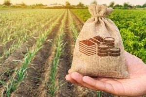 Η Δημοκρατία εκποιείται…